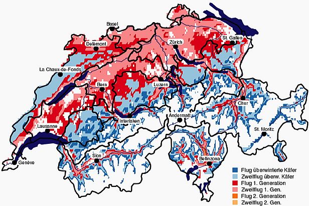 Online-Karte der Schweiz mit unterschiedlicher Borkenkäfer-Entwicklung 