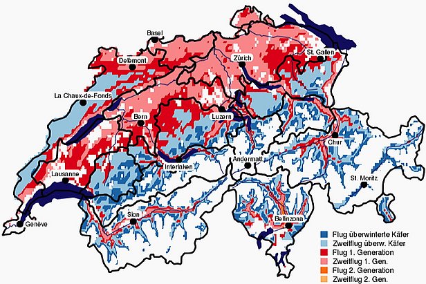 Online-Karte der Schweiz mit unterschiedlicher Borkenkäfer-Entwicklung 