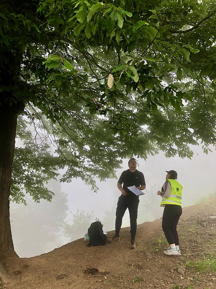 Zwei Personen stehen unter einem großen Baum in einer nebligen Umgebung. Eine Person trägt eine gelbe Weste und hält ein Blatt Papier, während die andere Person aufmerksam zuhört. Im Hintergrund sind verschwommene Baumränder sichtbar.