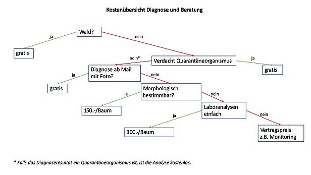 Kostenübersicht Diagnose und Beratung